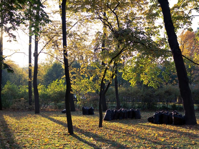 Seasonal Cleanups