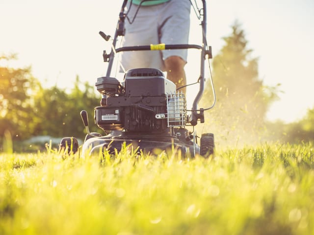 Lawn Care & Maintenance